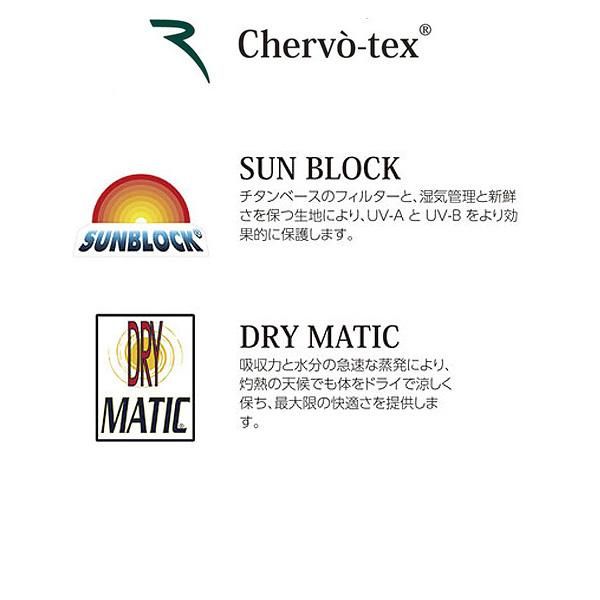 旅人の木 5点セット 旅人の木（タビビトノキ）7号｜観葉10-TU | 観葉