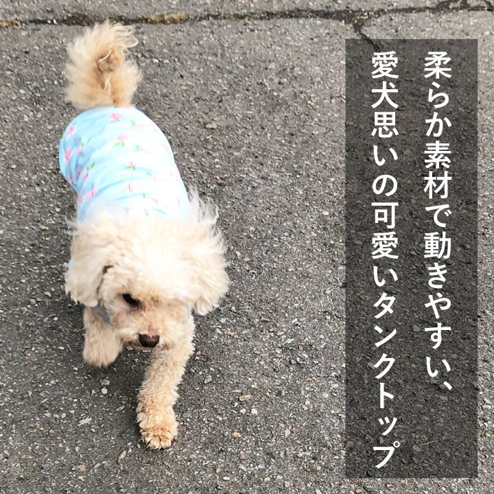 犬 服 犬服 犬の服 ドッグウェア 犬用品 タンクトップ ブルー もも モモ 桃 ピーチ トイプードル チワワ 春 小型犬 中型犬 S M L XL  2XL メルカリ