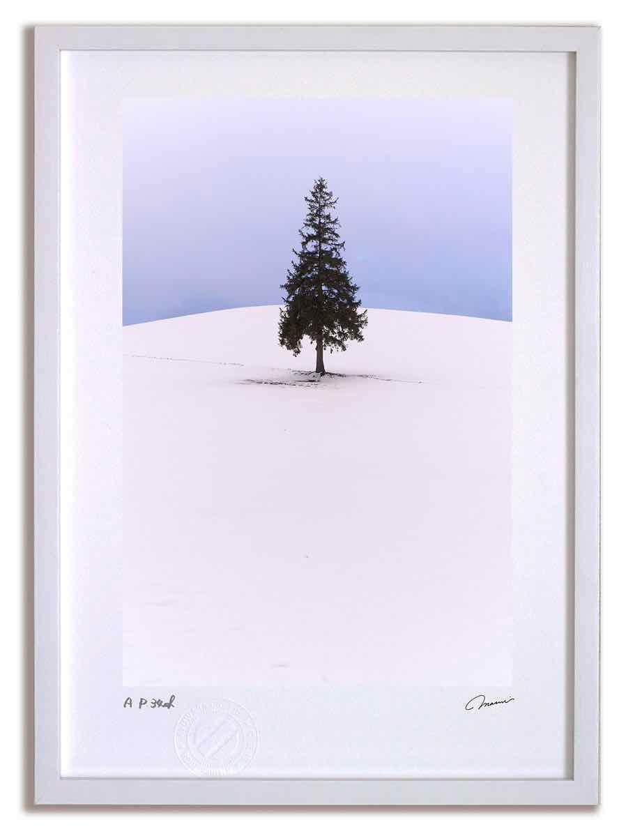 アートフォト 絵画 ベスト クリスマスツリーの木7 高橋真澄/インテリア 飾る 額入り 額装込 風景画  フック 民家 花 アートフレーム 飾る Mサイズ おしゃれ 壁掛け 絵