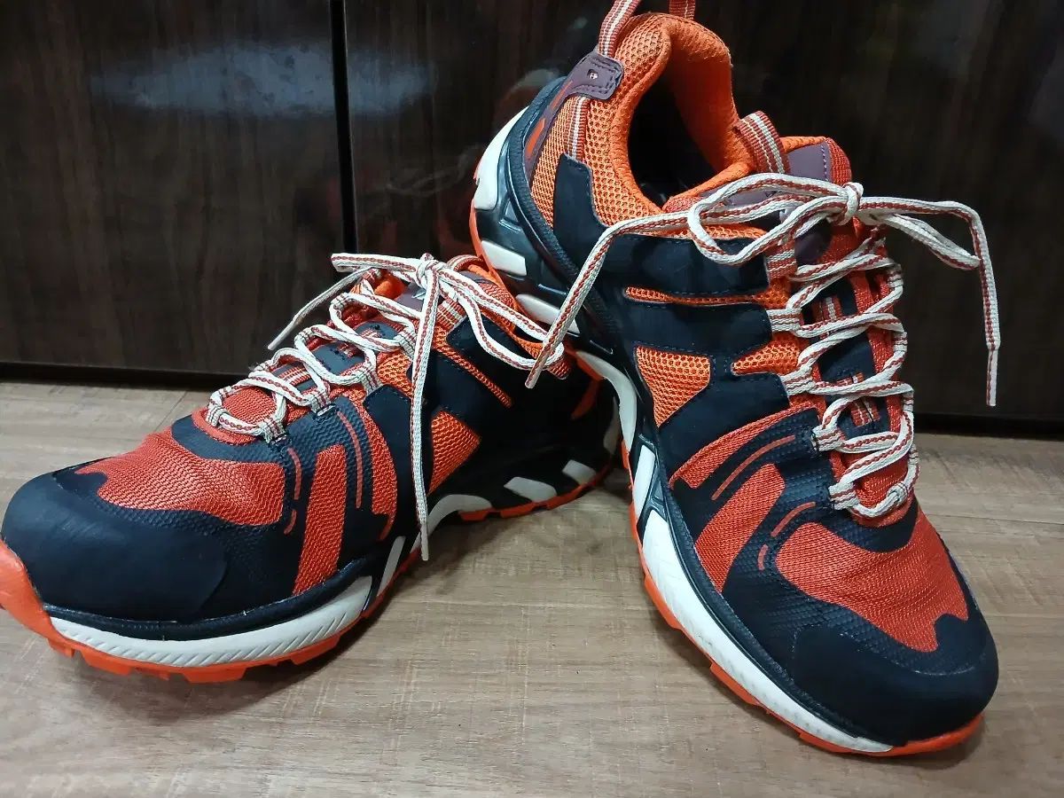 LAFUMA(ラフマ) GORE-TEX(ゴアテックス) 270mm 登山靴