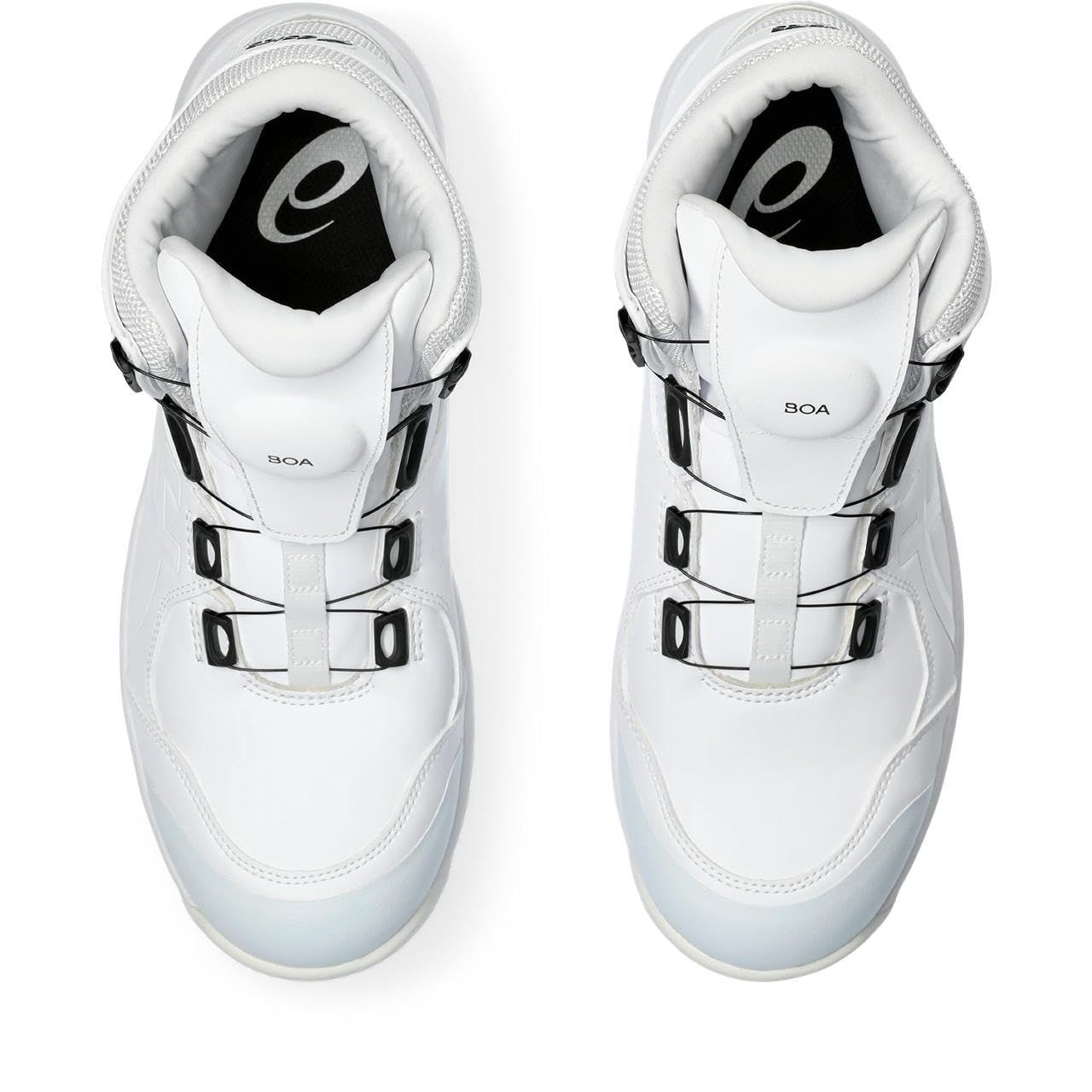 CP304