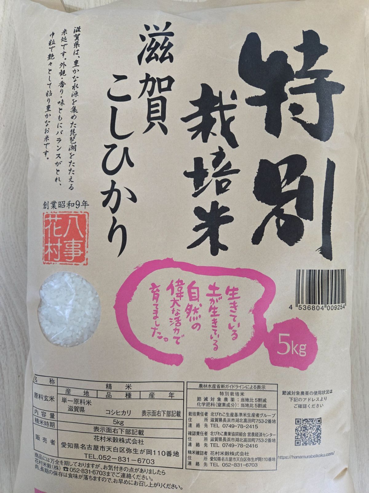コガネノウゼン｜あおはくたき 黄色の花が美しい イペー 651 樹高2.2m