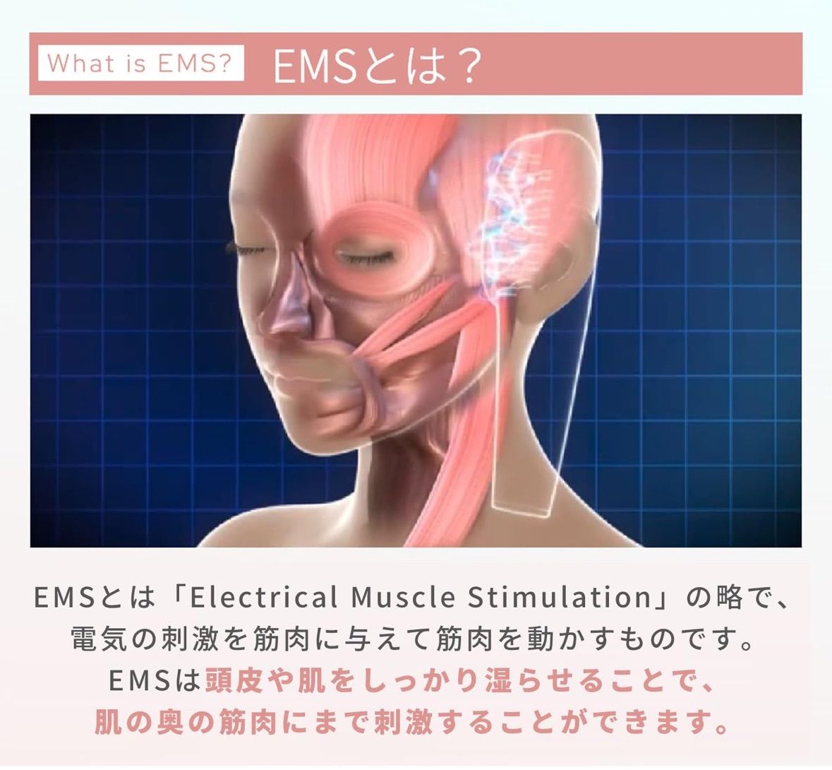 アクティブ