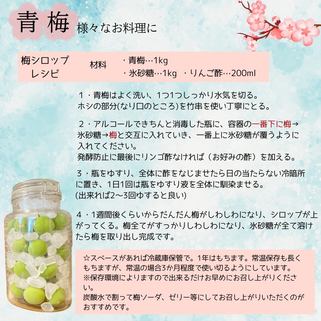 クール便込み 青森県産 完熟 梅 豊後2kg 送料無料！ - メルカリ