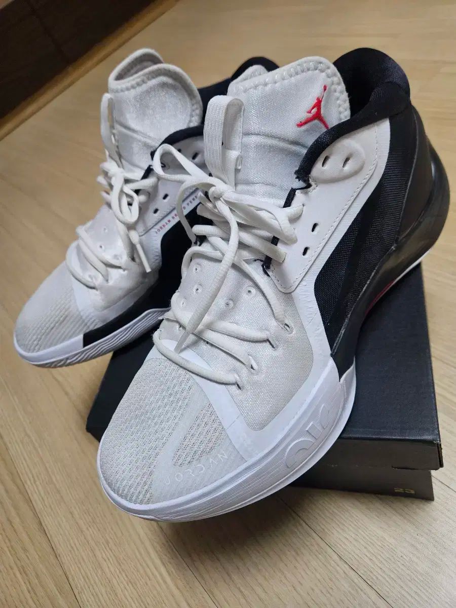 ジョーダン ズーム セパレート PF バスケシューズ 290