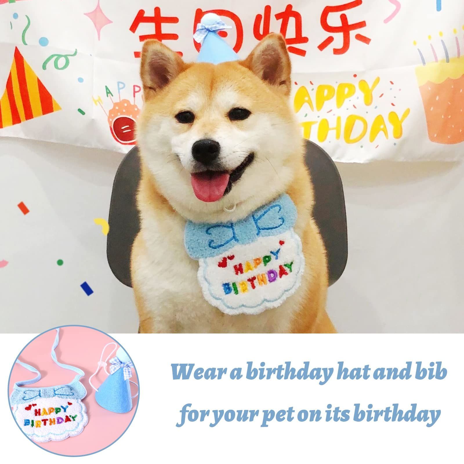 チャッピー早いけど誕生日おめでとう もう3歳になるのか… 昔と比べて少し大人しくなったなー あの頃はやんちゃな子犬だった。 #犬 #成犬 #dog  #doglove #dogstagram #dogsofinstagram #dogsofinsta #doglife #instadog #柴犬 # 柴犬のいる暮らし #柴犬大好き #柴犬好きな人 ..., image size:1600x1600