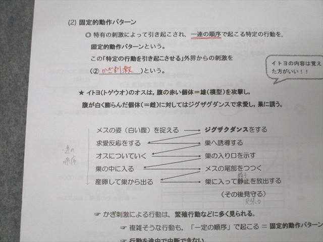 駿台 生物S Part1/2 テキスト通年セット 2021 計4冊 060M0D