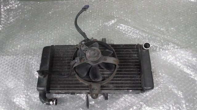 CB400 SUPER FOUR NC31-1030xxx の ラジエター 1757636119 BILLOVLOGS_CO_UK