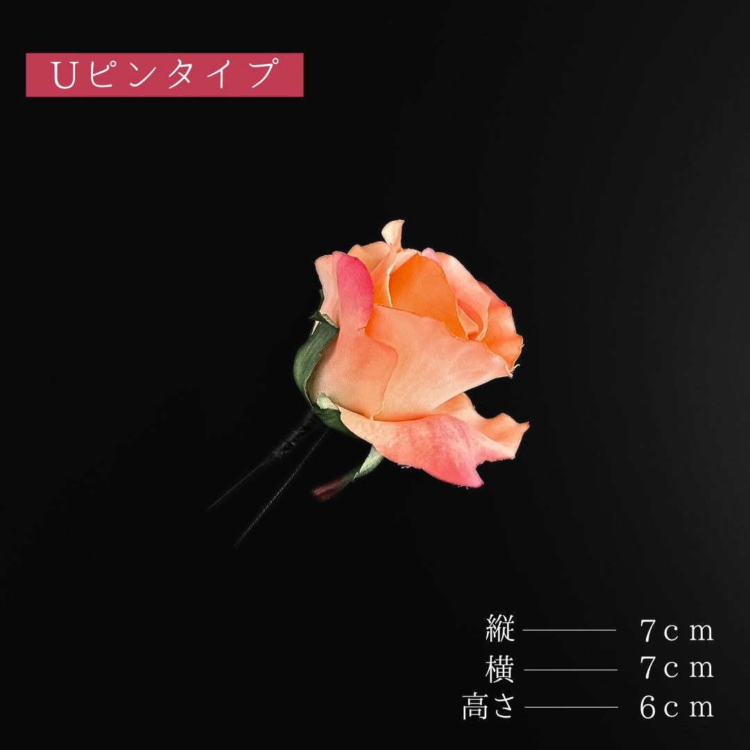 チューリップ ピンポンマム
