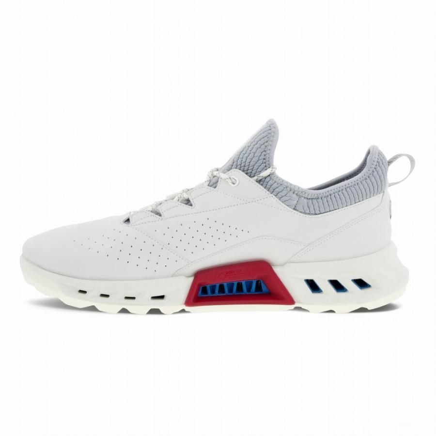 ecco エコーゴルフ BIOM  C4メンズシューズ