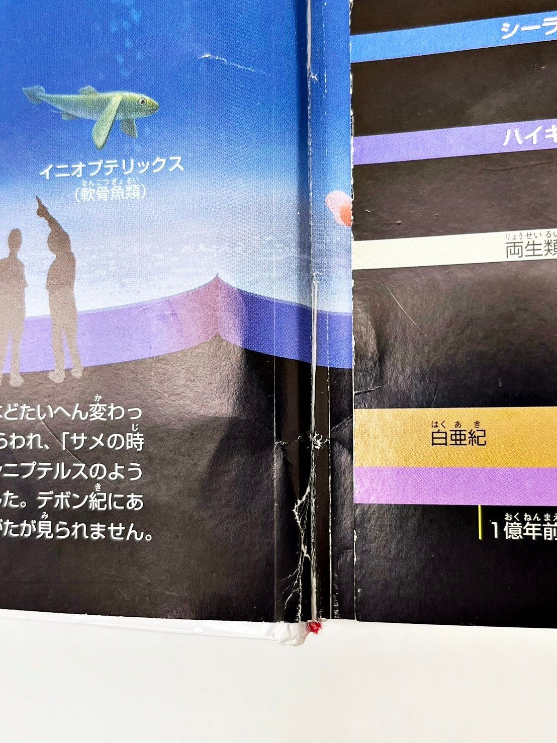 小学館の図鑑 NEO他　19冊セット 小学館の図鑑NEO 19冊セット 図鑑まとめ売り - メルカリ