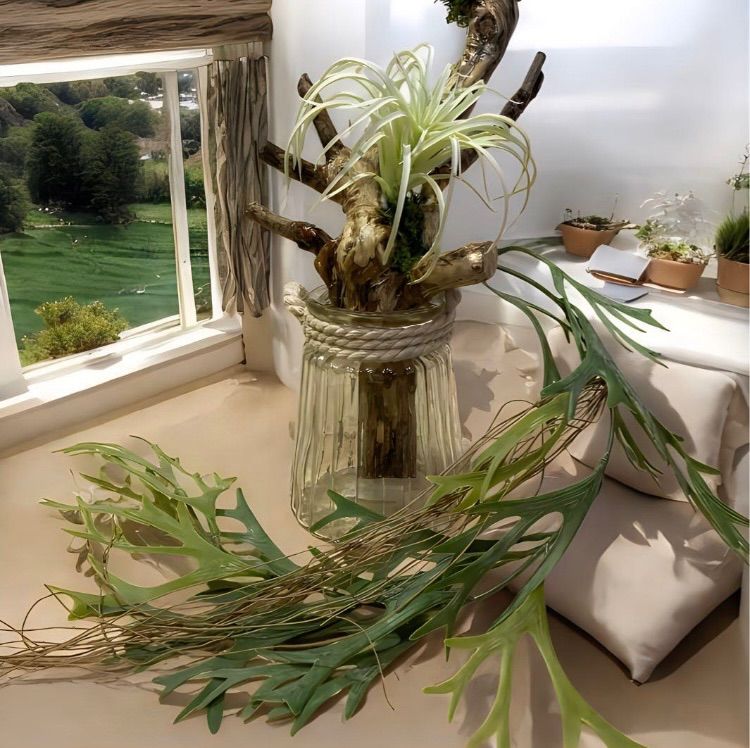 光触媒 人工観葉植物 ウォールグリーン フェイクグリーン 壁掛け 光触媒 人工観葉植物 ウォールグリーン フェイクグリーン 壁掛け