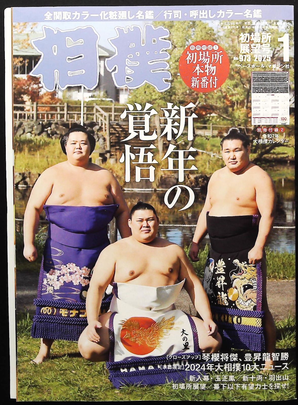 【バラ売相談可】2025年 大相撲 公式カレンダー 10部セット バラ売相談可】2025年 大相撲 公式カレンダー 10部セット