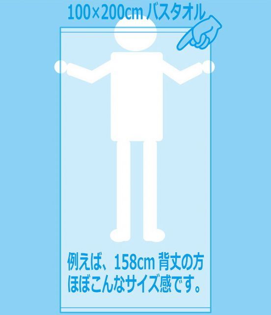 業務用 超大判バスタオル レピアモカ セット 100 cm×200 cm 綿100％ 2000匁 レピア織 〔美容院 整骨院〕 その他 タオル