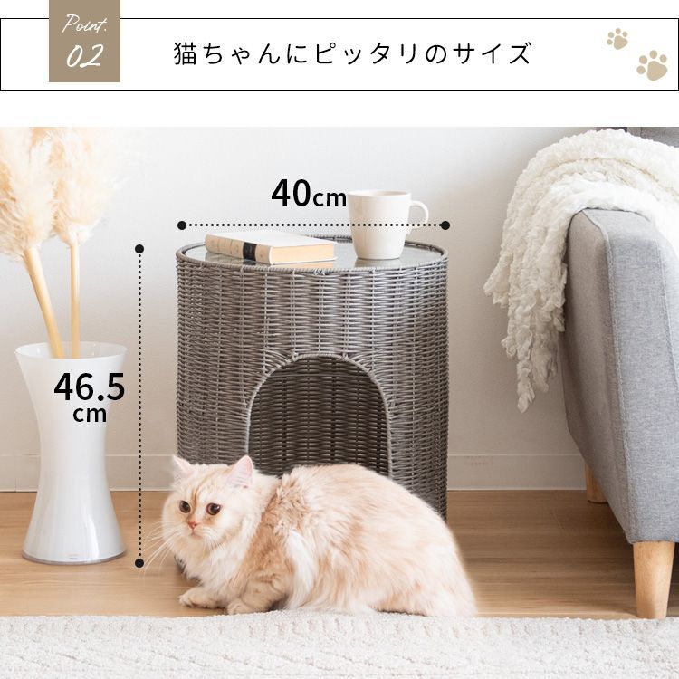コンパクト