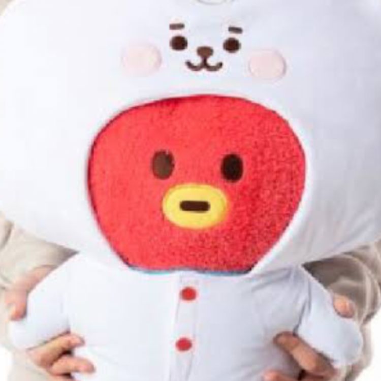 大人気定番商品 BT21 たっとん ロンパーススタイル L ぬいぐるみ