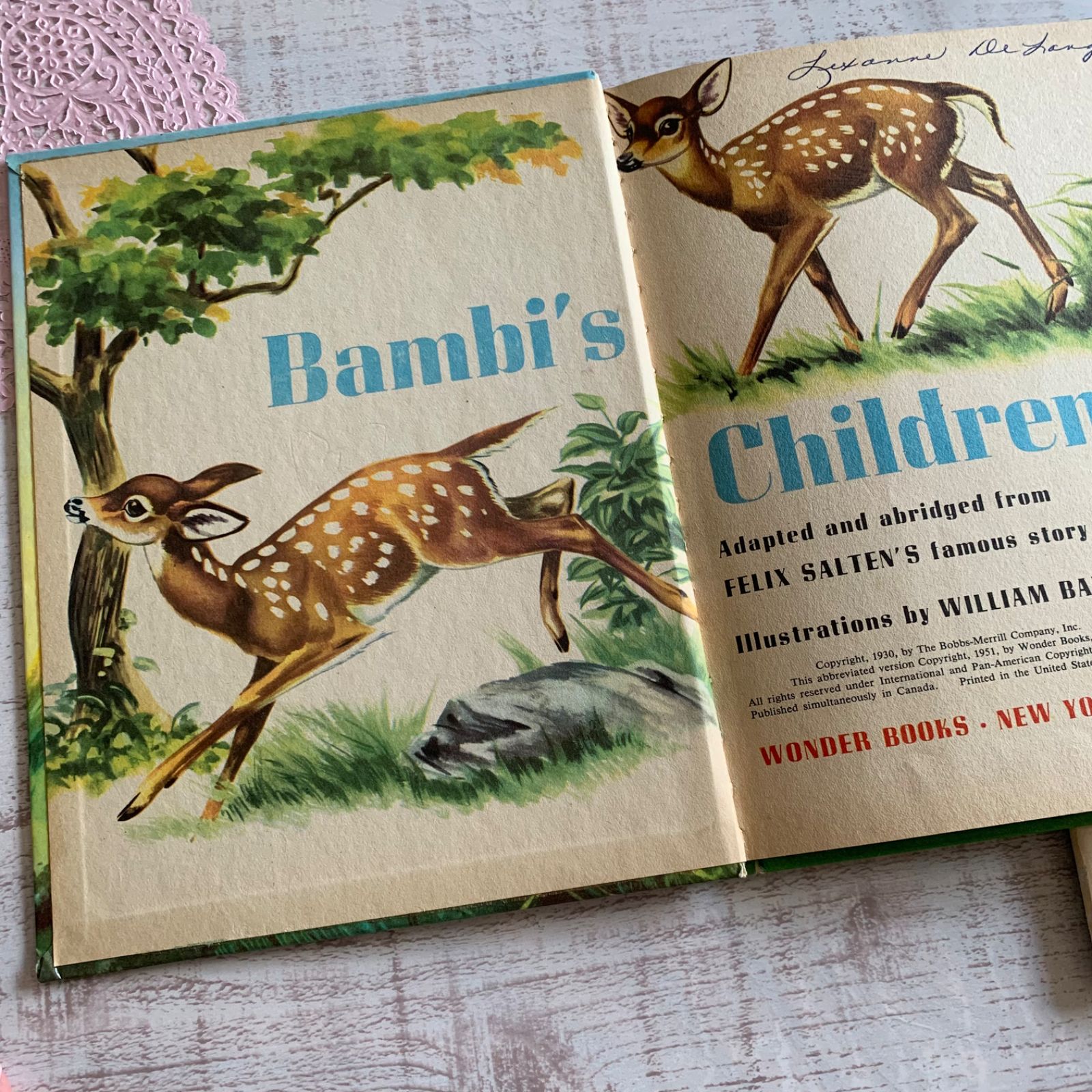 可愛すぎます♡ビンテージ絵本アヒル洋書　動物　古書ジャンクジャーナルに 可愛すぎます♡ビンテージ絵本アヒル洋書 動物 古書ジャンク