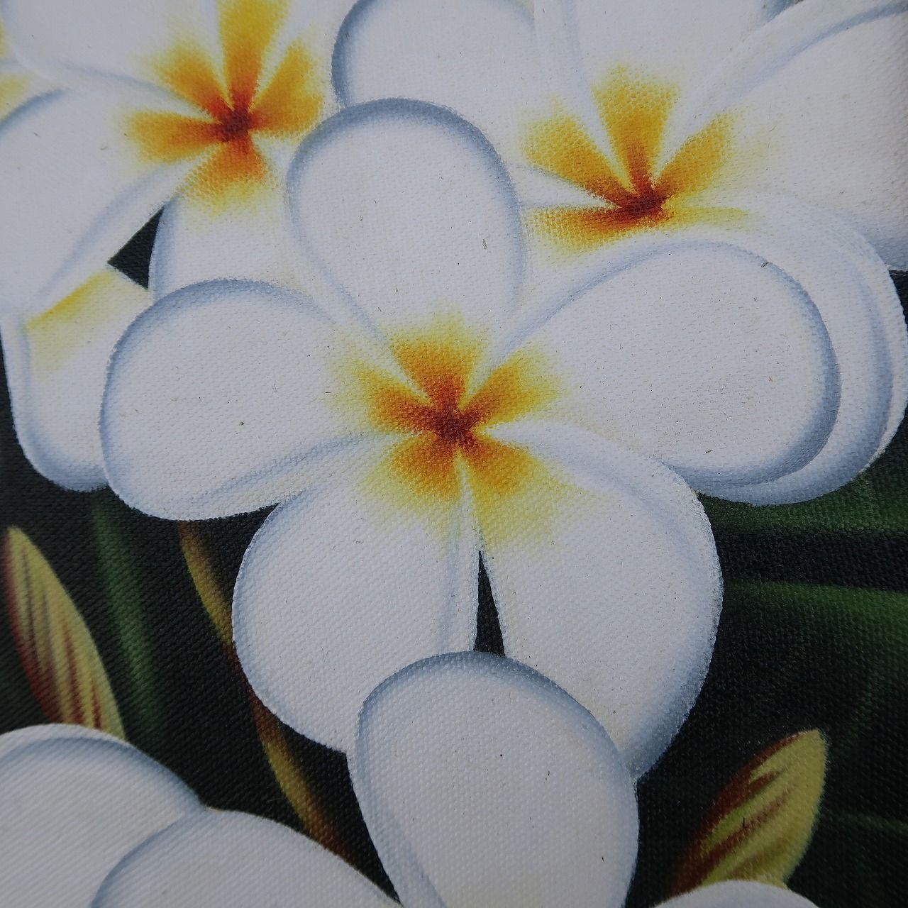 プルメリアの絵 ホワイト 42X52 絵画 花の絵 リゾート
