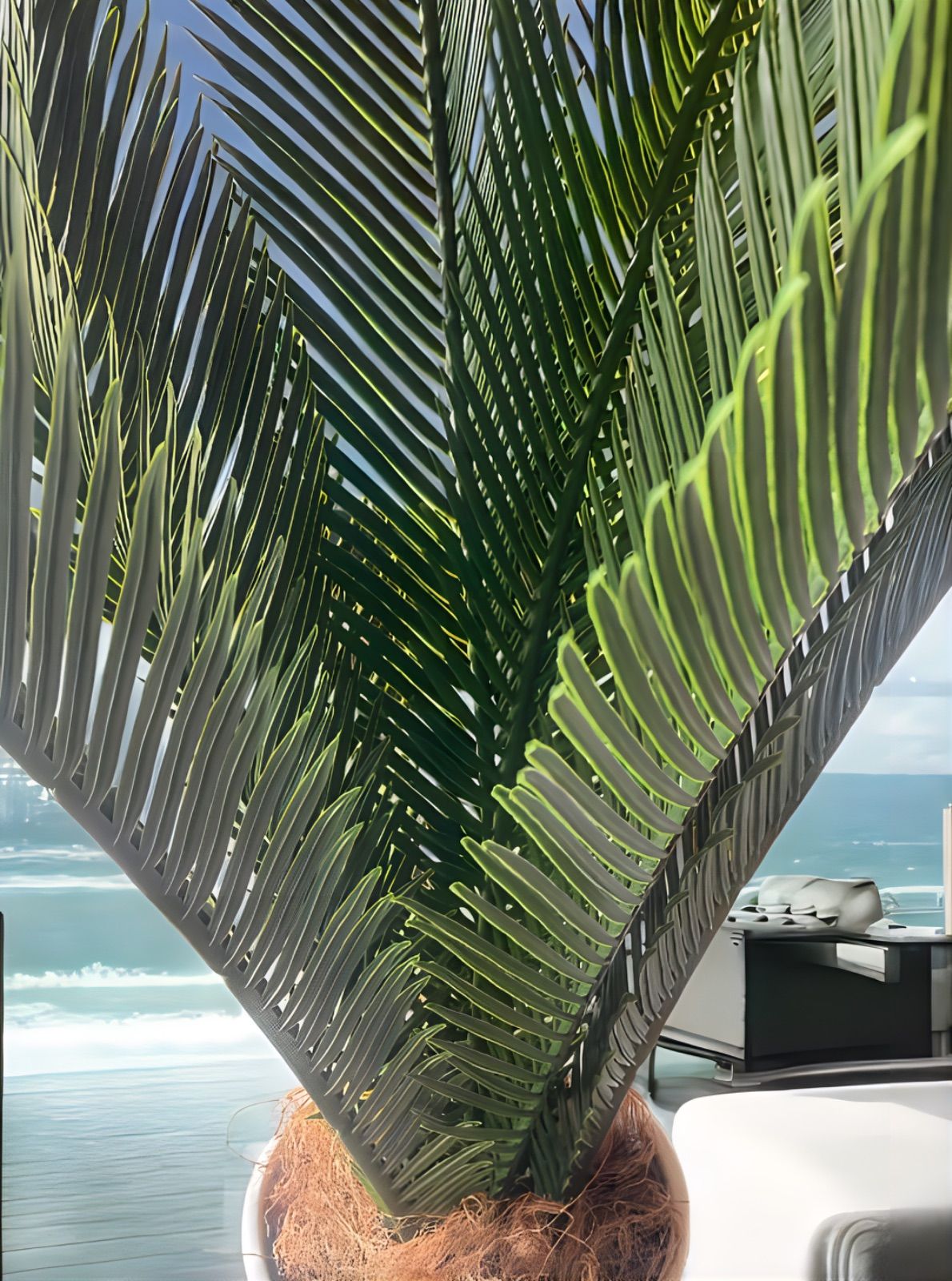 光触媒 人工観葉植物 ウォールグリーン フェイクグリーン 胡蝶蘭8550@@