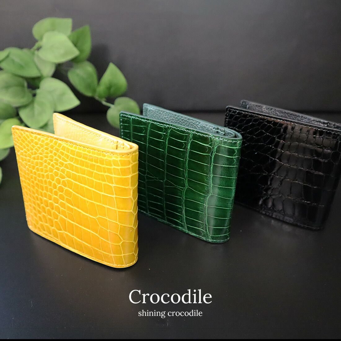 シャイニングクロコダイル 二つ折り財布 メンズ 贅沢一枚仕立て ワニ革