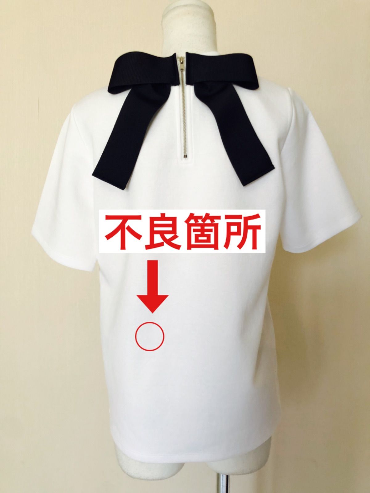 Tシャツ 半袖
