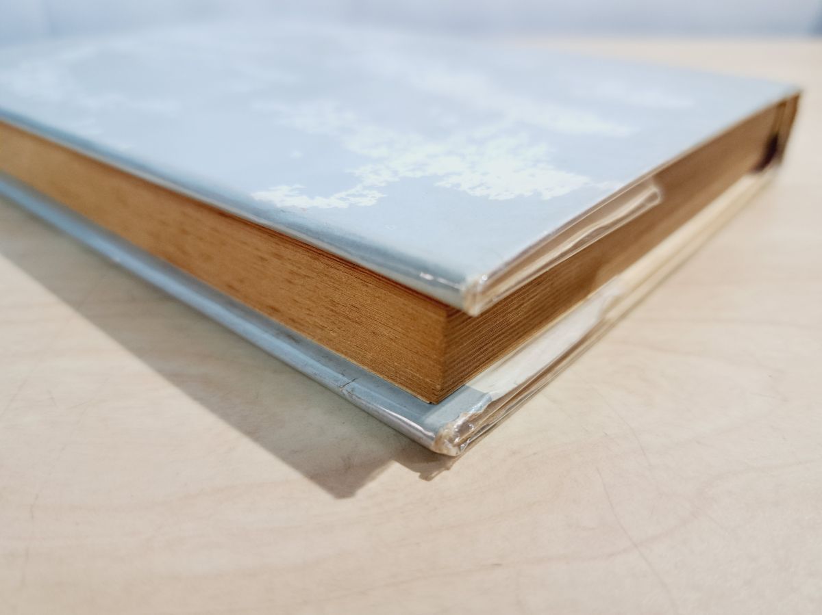 妖術者ここに溶ける 宮本幹也 桃源社