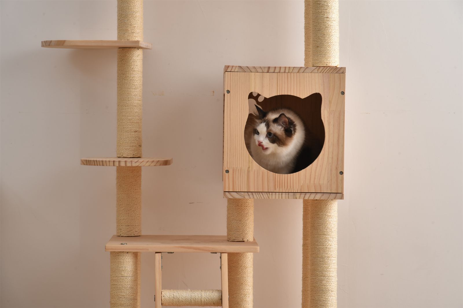 キャットタワー
