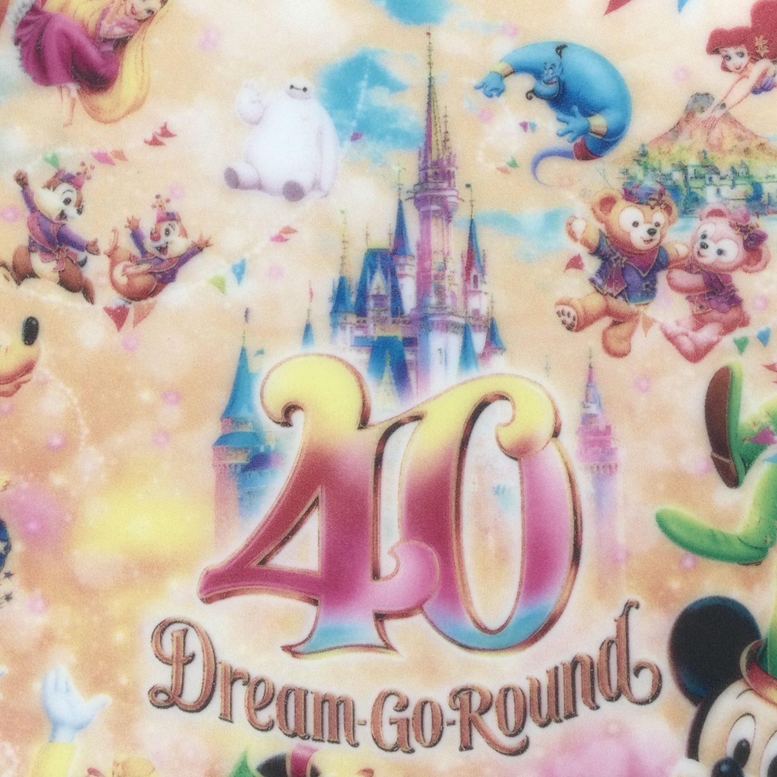 DISNEY 40周年 絵皿 ディズニー40周年 絵皿 【公式通販】