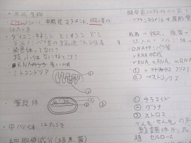 河合塾 東京大学 ハイパー東大生物(演習編) テキスト通年セット/テスト