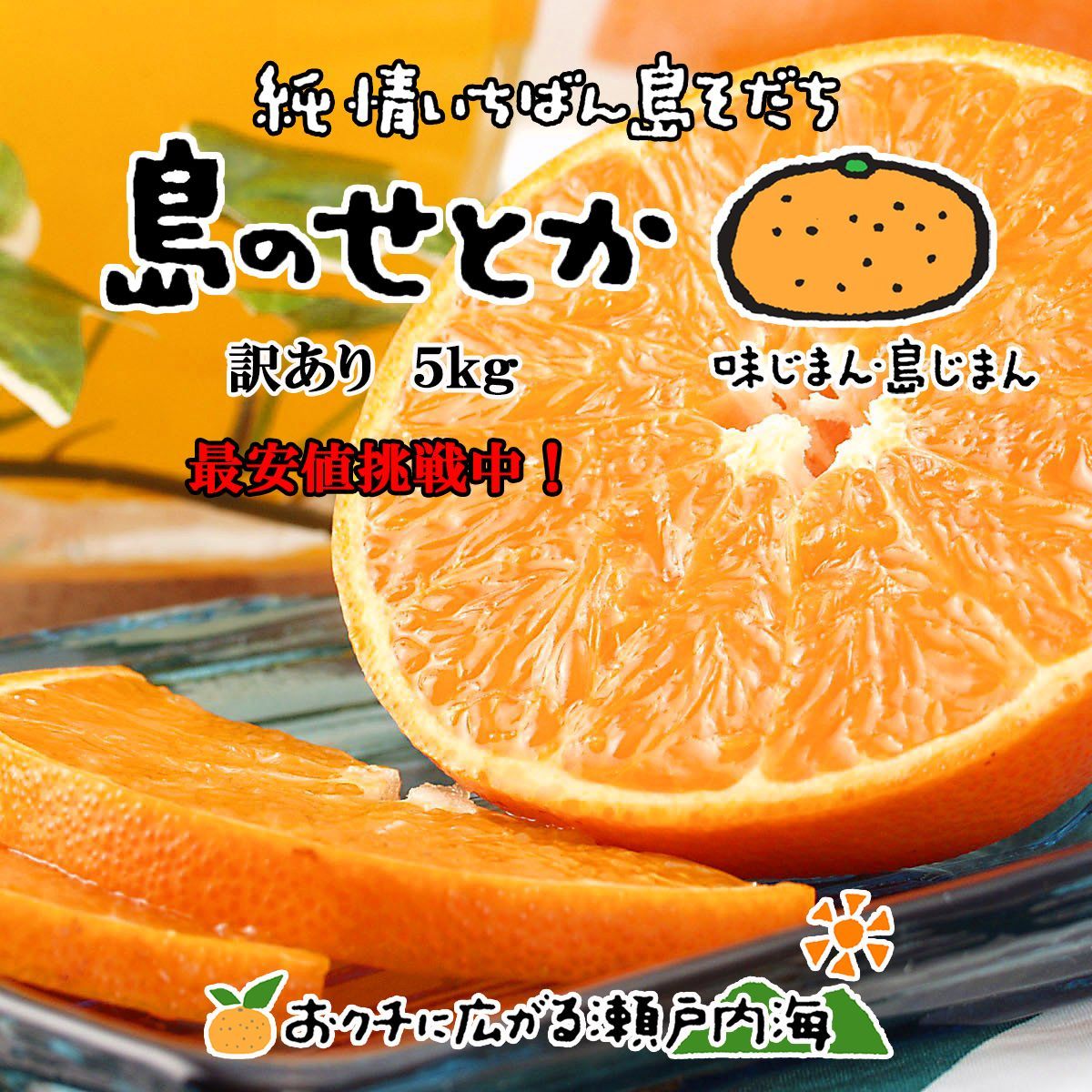 せとか 5kg 訳あり 最安値に挑戦 みかん 寒害果の可能性 加工用