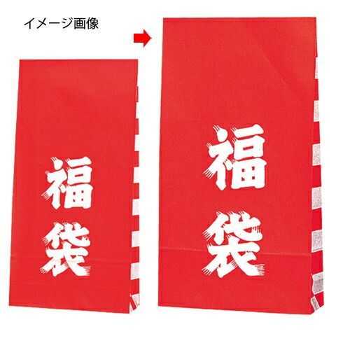 福袋 21×8×38.5 100枚 61-306-13-2 