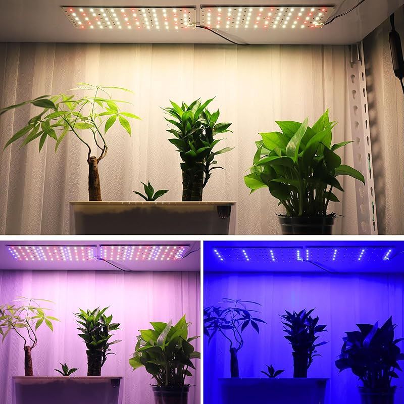 植物工場など適合する