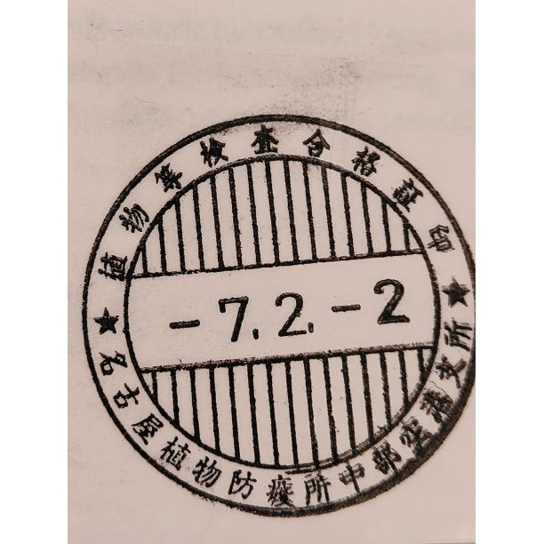 2月入荷 10粒+ アガベ オテロイ 種子 チタノタ FO-76 証明書あり