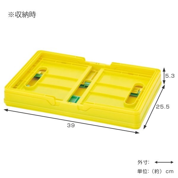 コンテナ 折りたたみ 収納ボックス ポケットモンスター ポケデイズ （ 収納ケース カゴ バスケット コンテナボックス ポケモン ピカチュウ キャラクター 買物かご キャラ 折りたためる コン