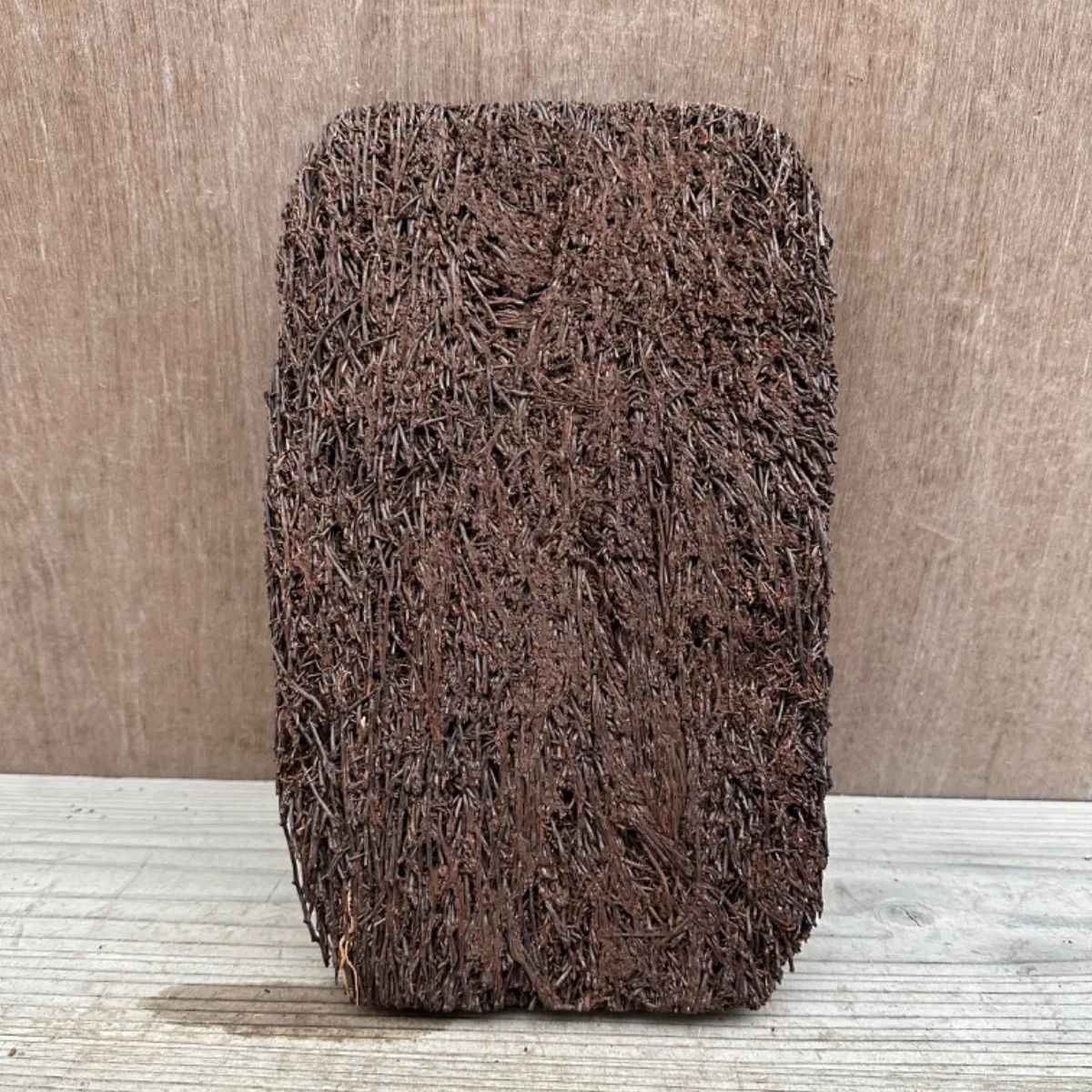 ヘゴ板 約20X30cm① ヘゴ 板 フェゴ 観葉植物 観葉 植物 塊根