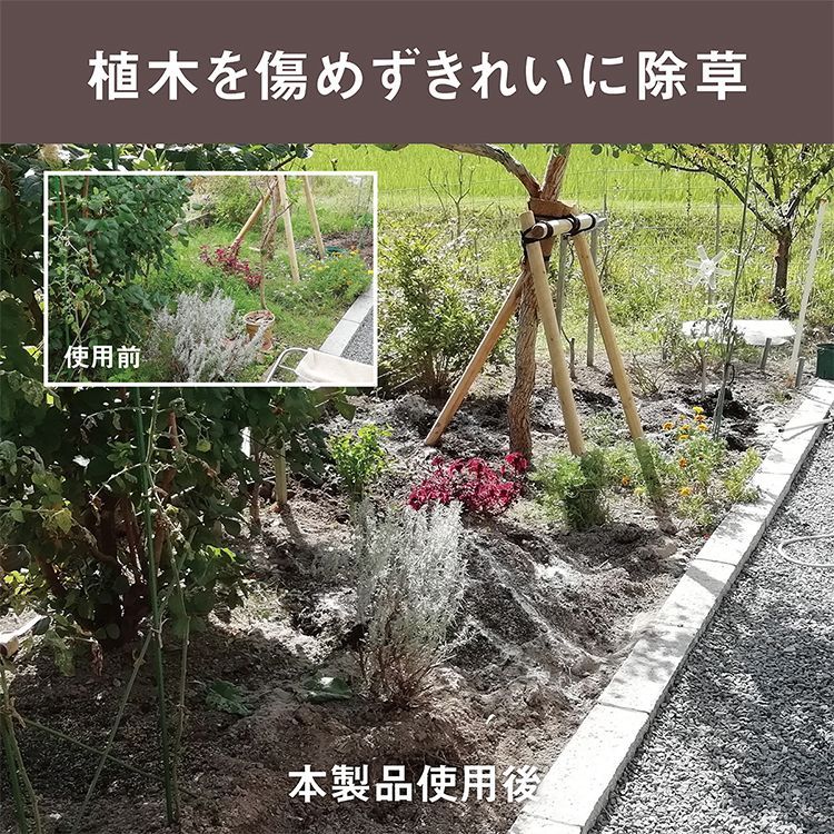 草むしり 駆除