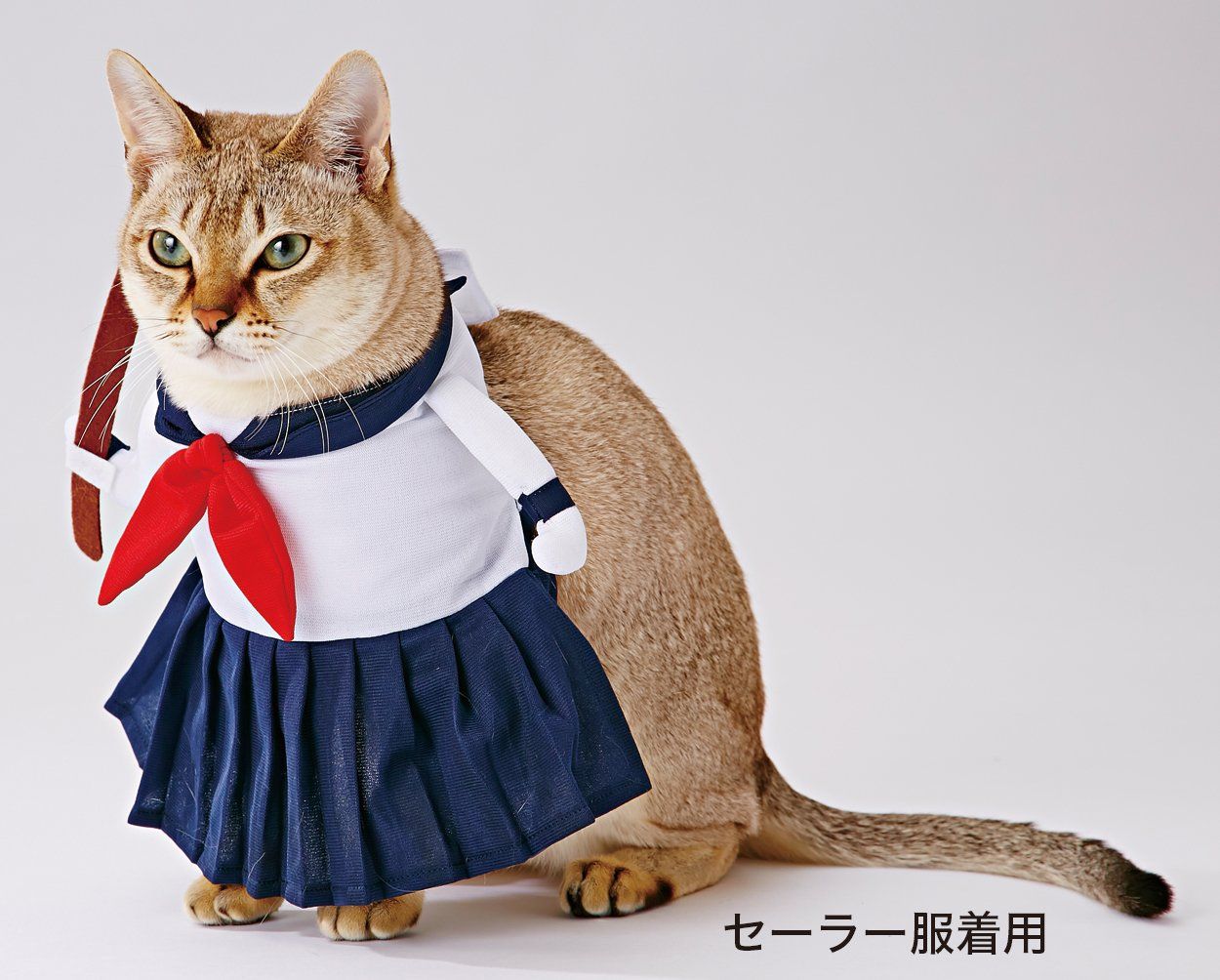 着ぐるみヘッド(ネコ) 着ぐるみヘッド 猫 垂れ耳 真っ白 全頭ヘッド ケモノ マスク