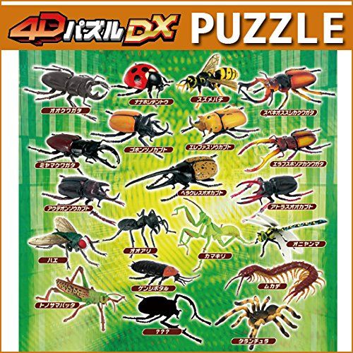 4Dパズル