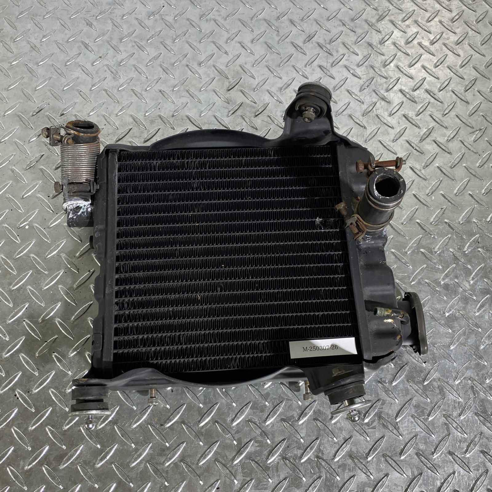 コクヨ カラーレーザー&カラーコピー用光沢紙ラベル A4 ノーカット 297