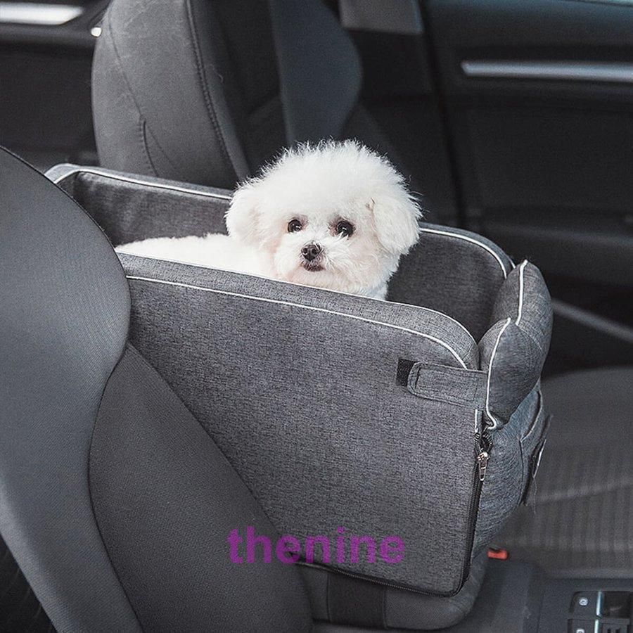 車