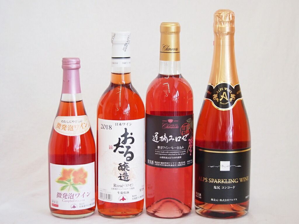 長野ワイン テールドシエル 4本セット 日本ワイン4本セット テールドシエル 4本セット 日本ワイン 長野