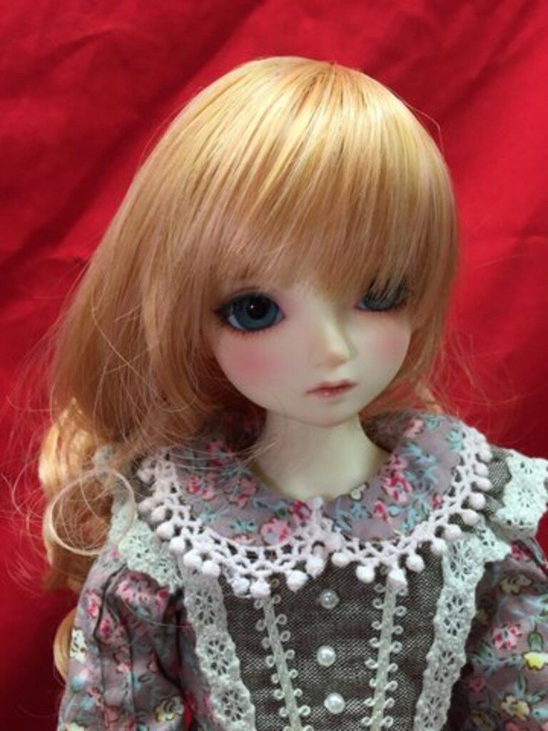 コーディネートモデル