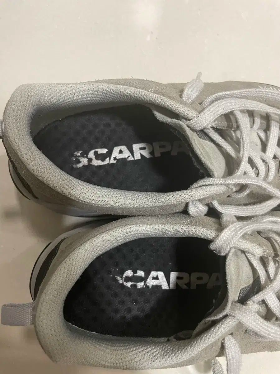 SCARPA スカルパ モヒート スティールグレー 41