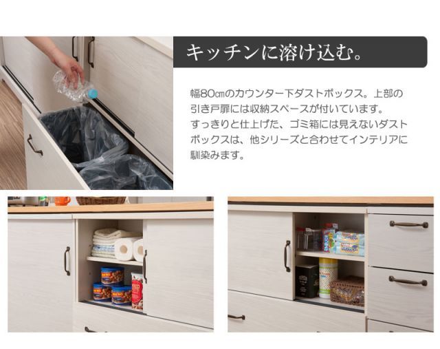 2分別ダストボックス付きキャビネット ホワイトウォッシュ