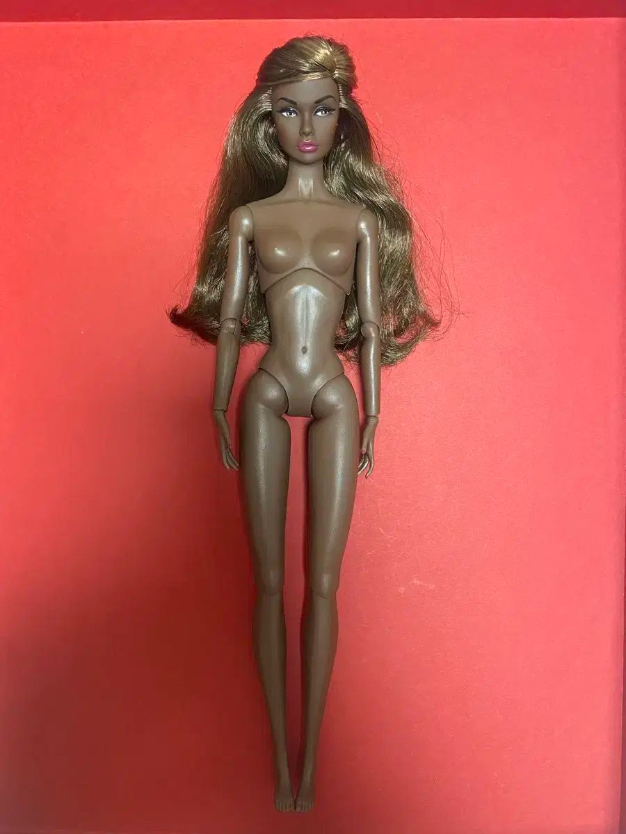 ショップ ア*2様 ココスヤシシルバーリーフ【極太】葉先180cm幹回り