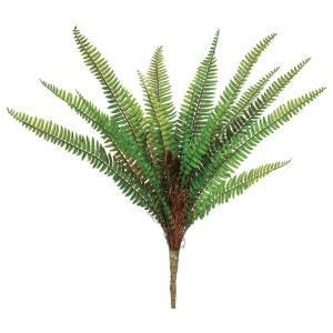 3営業日で発送 アスカ Asca ファーンブッシュ A-44571-051A 入数 12