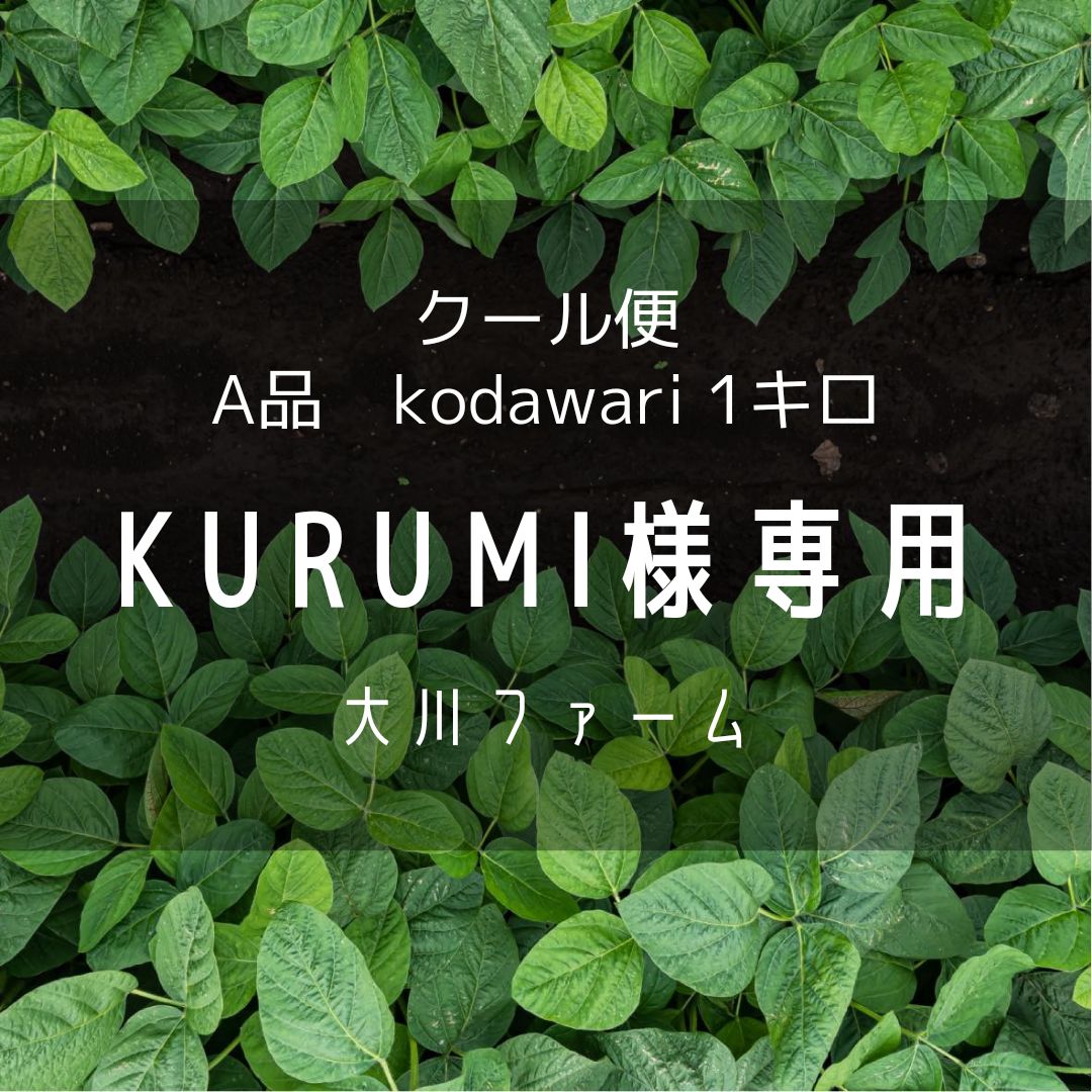 大川ファーム kodawari1キロ - Okawa farm market - メルカリ