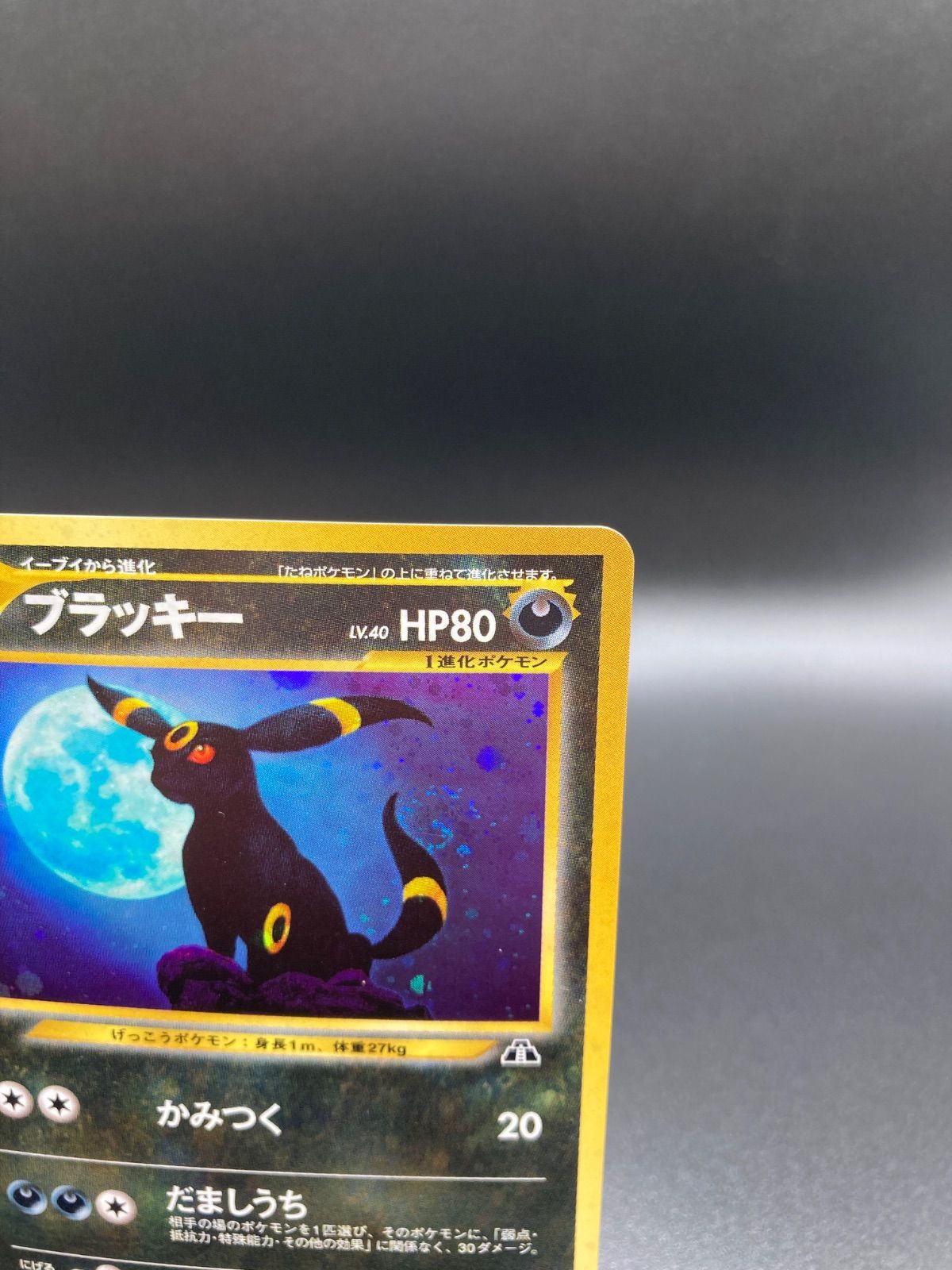 ブラッキー Umbreon 旧裏 旧裏面 old back ポケモンカード