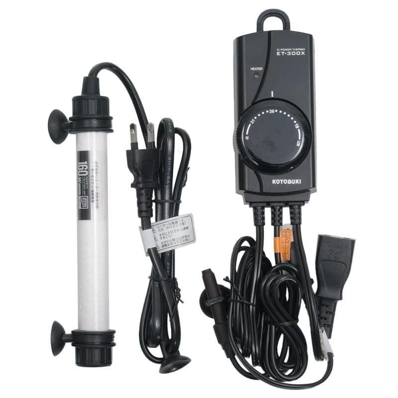 D*O様 ビカクシダP. Aegis OC P. YM x AR ドワーフ特選 ビカクシダP