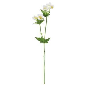 造花・アートフラワー 【新品・3営業日で発送】ASCA アスカ
